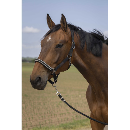 Capestro Equithème Nylon Chevron