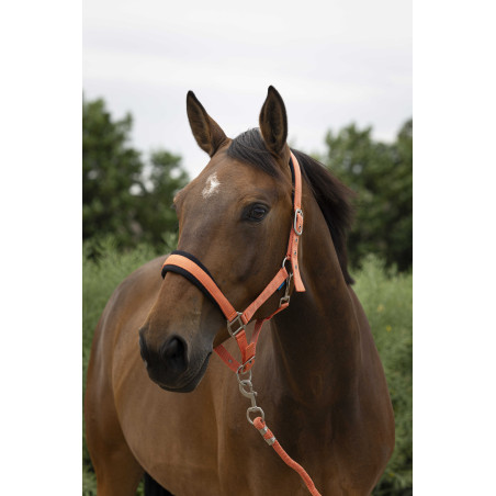 Capezza + lunghina Norton Large