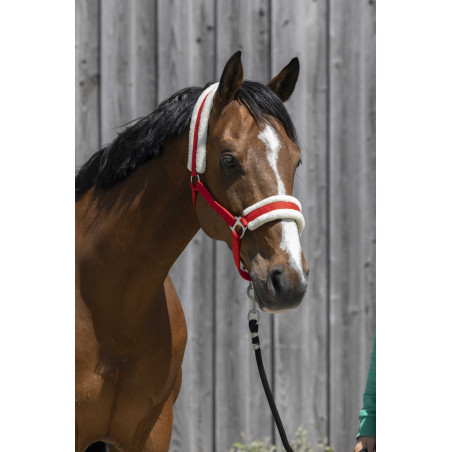 Capestro Riding World in montone sintetico