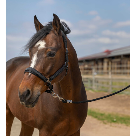 Capestro Equithème Nylon Strass