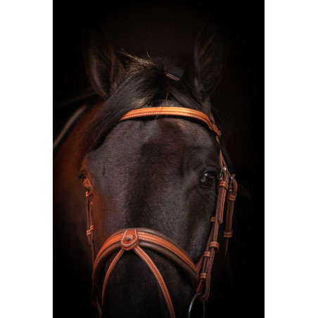 Briglia Pénélope Elegance