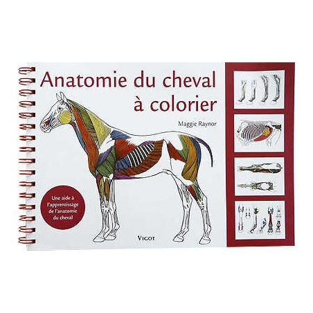 Anatomia del cavallo da colorare