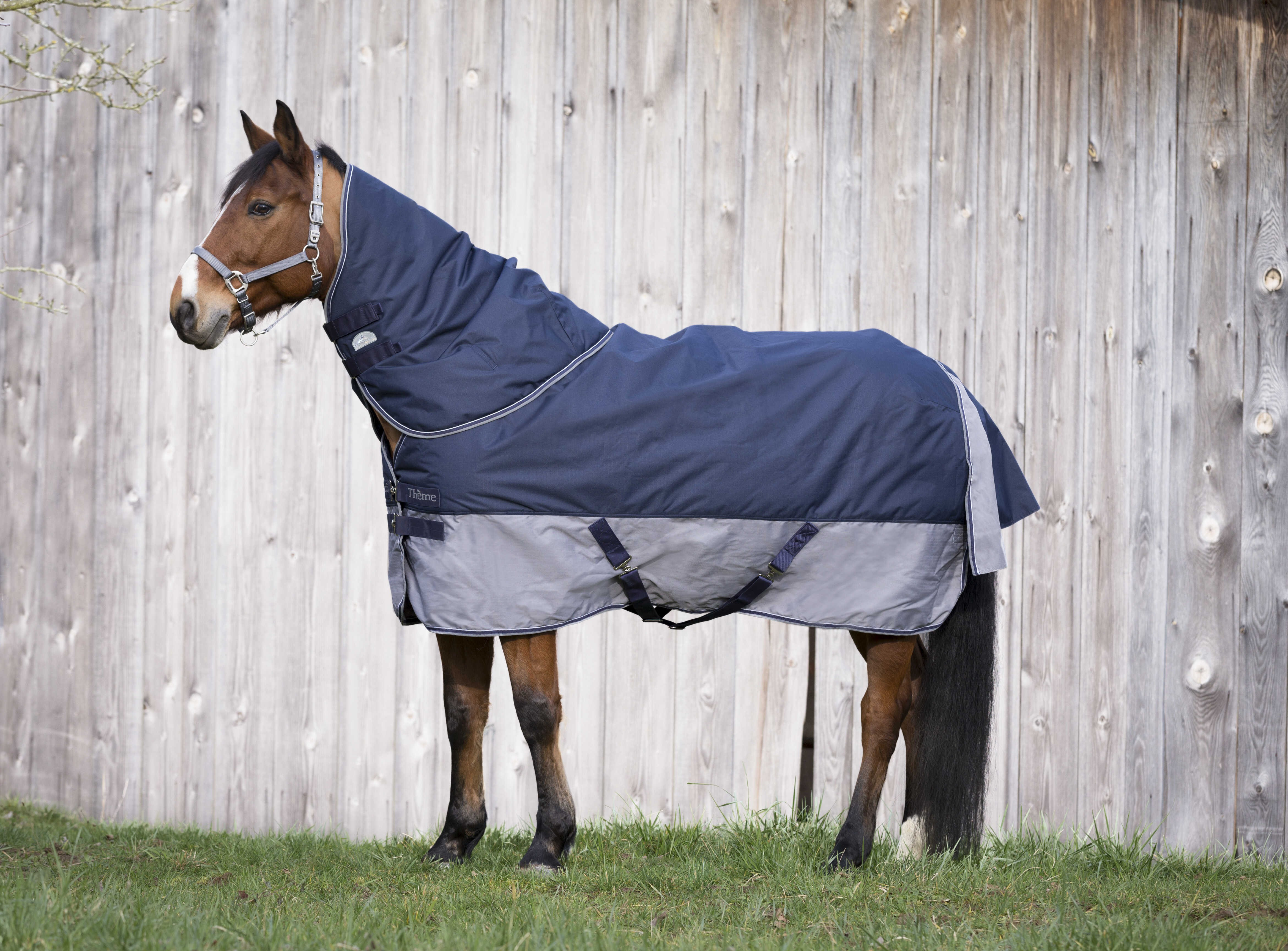Coperta Equithème Tyrex 600 D 50g Marina / grigio Blu