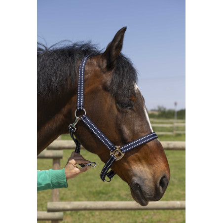 Capezzina Norton Grooming