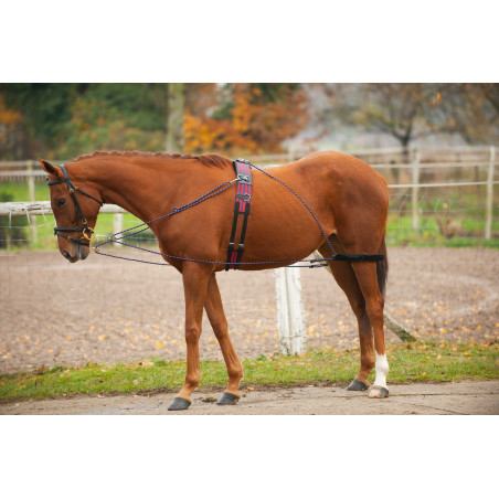 Redini ausiliarie con carrucole Norton