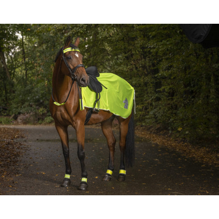 Coprireni riflettente