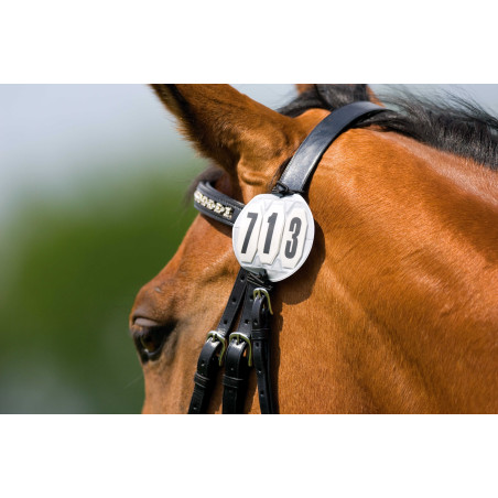 Numero di Partenza 3 Cifre Tondo