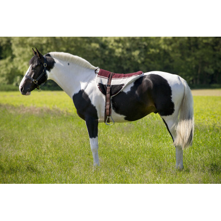 Tappeto da equitazione a pelo Norton