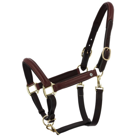 Capezzina grooming in cuoio oliato Norton Spring