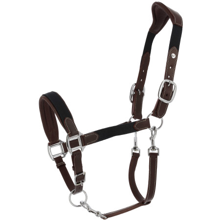 Capezza Norton Dualy