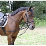 Redini a triangolo Covalliero