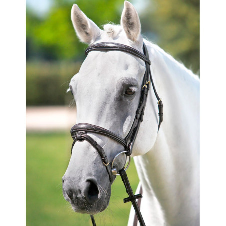 Briglia con testiera Tattini con testiera frontale e cavezza ricamate