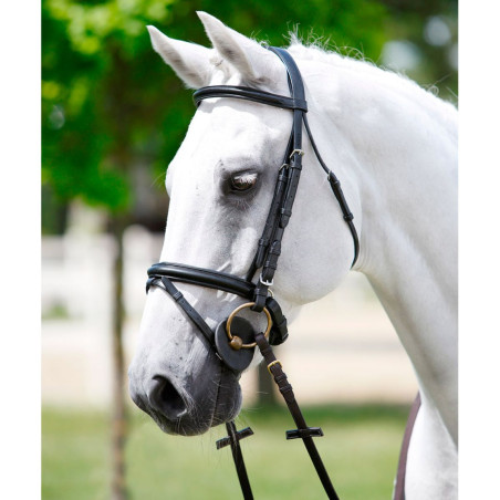 Briglia Tattini con testiera, frontalino e capezzina imbottiti