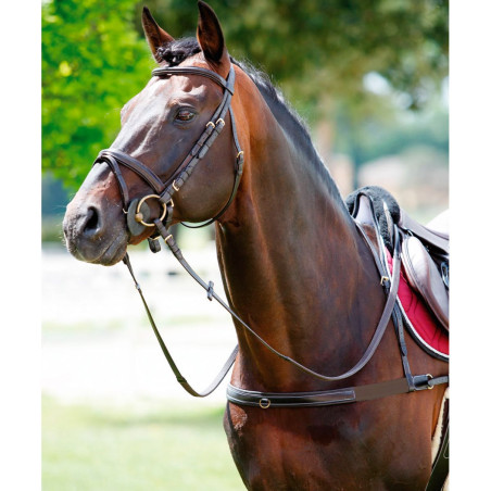 Pettorale Tattini elastico con collare amovibile