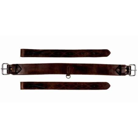 Cinghia Notawa posteriore