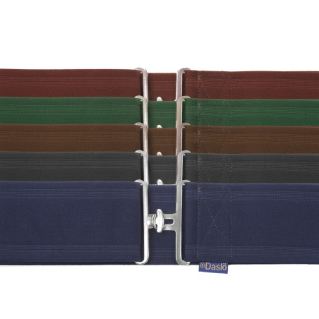 Sovrasella elastica Daslö