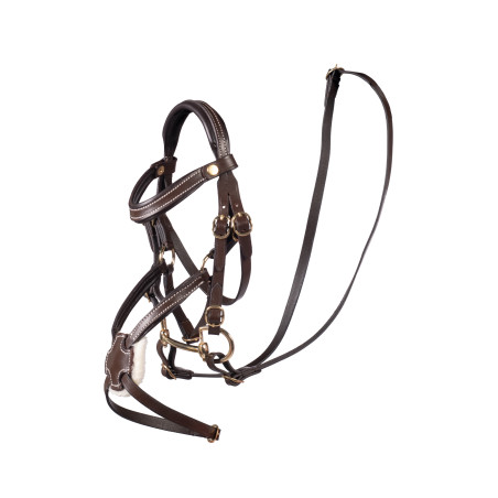 Filet messicano HKM Hobby Horse