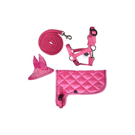 Set neon HKM Hobby Horse