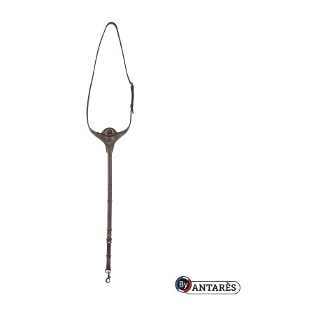 Collare Signature by Antares Yoke