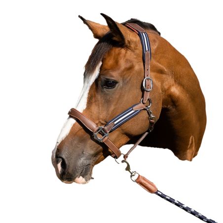 Capestro Antares stressless granato