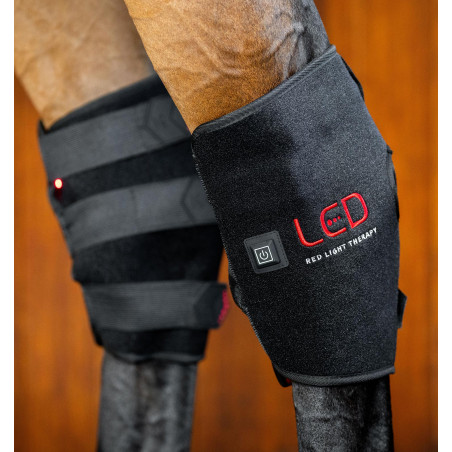 Protettore del garretto Horseware Therapy con luce LED rossa