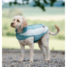 Coperta in pile Horseware Newmarket per cane - Dinastia Witney