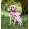Coperta in pile Horseware Newmarket per cane - Rose witney
