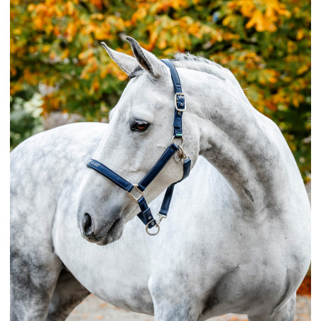 Capezzina da grooming Horseware