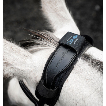 Coprinuca Horseware Ionic Therapy