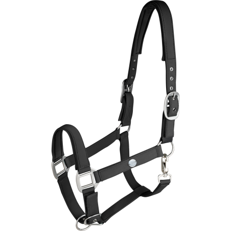 Capezzina Waldhausen Trinidad