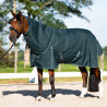 Coperta da paddock Imperial Riding Basic con copricollo amovibile 300 g - Verde