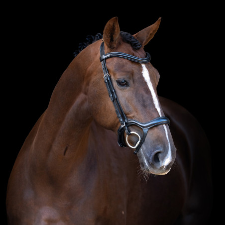 Briglia Imperial Riding con capezzina combinata ergonomica bassa