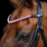 Frontalino Imperial Riding Beads - Rosa
