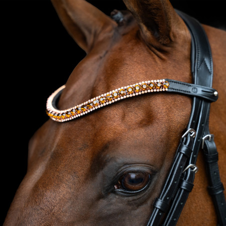 Fronte Imperiale Riding Grande