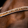 Fronte Imperiale Riding Grande - Bronzo