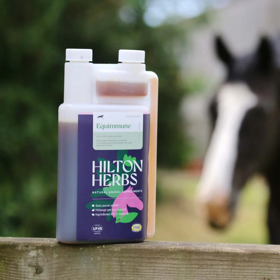 Equimmune Gold Hilton Herbs