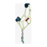 Capestro e lunghina Vogue Hobby Horse LeMieux - Distintivo