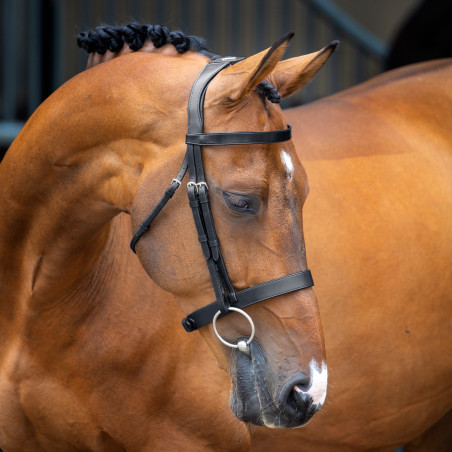Briglia con capezzina Hunter Shires Velociti Lusso
