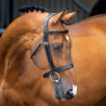 Briglia con capezzina Hunter Shires Velociti Lusso - Nero