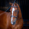 Briglia con capezzone Hunter Shires Velociti Rapida - Avana
