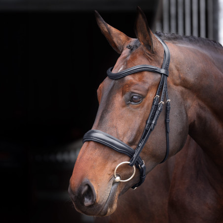 Filet con capezzina imbottita Elite Shires Velociti Lusso