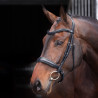 Filet con capezzina imbottita Elite Shires Velociti Lusso - Nero