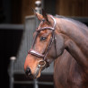 Filet con capezzina imbottita Elite Shires Velociti Lusso - Avana