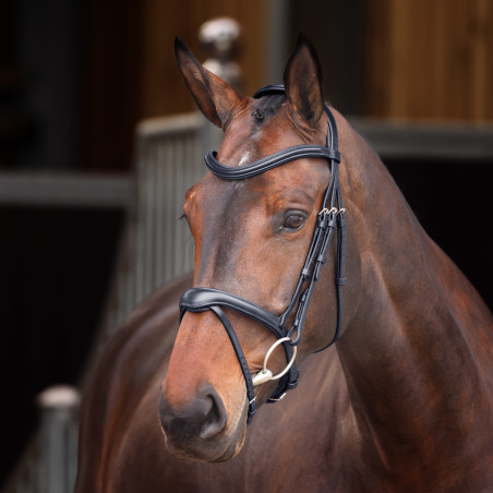 Briglia con capezzina francese Elite Shires Velociti Lusso