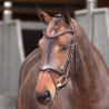 Briglia con capezzina francese Elite Shires Velociti Lusso - Avana