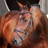 Briglia con capezzina francese rialzata imbottita Elite Shires Velociti Lusso - Avana