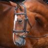 Briglia con nasale francese rialzato imbottito Shires Velociti Rapida - Nero