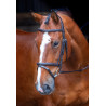 Briglia con nasale francese rialzato imbottito Shires Velociti Rapida - Avana