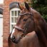 Briglia da dressage con capezzina Opus 180M Shires Velociti Lusso - Avana