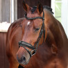 Briglia da dressage con capezzina francese Elite Shires Velociti Lusso - Nero